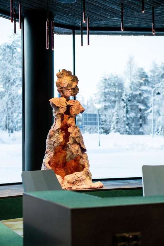 Отель Design Hotel Levi Леви-14